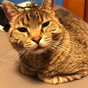 Meet your Posher, Matthew